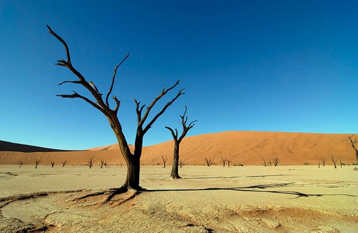 Горячий ветер африки 5 букв. Пустыня Намиб в Африке. Северная пустыня. Пустыня в Африке 5.