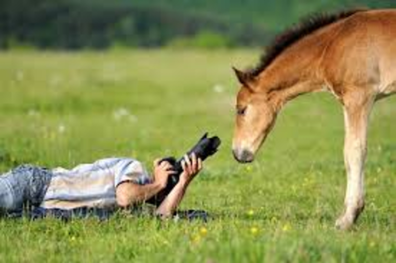 С Днем Фотографии Фото