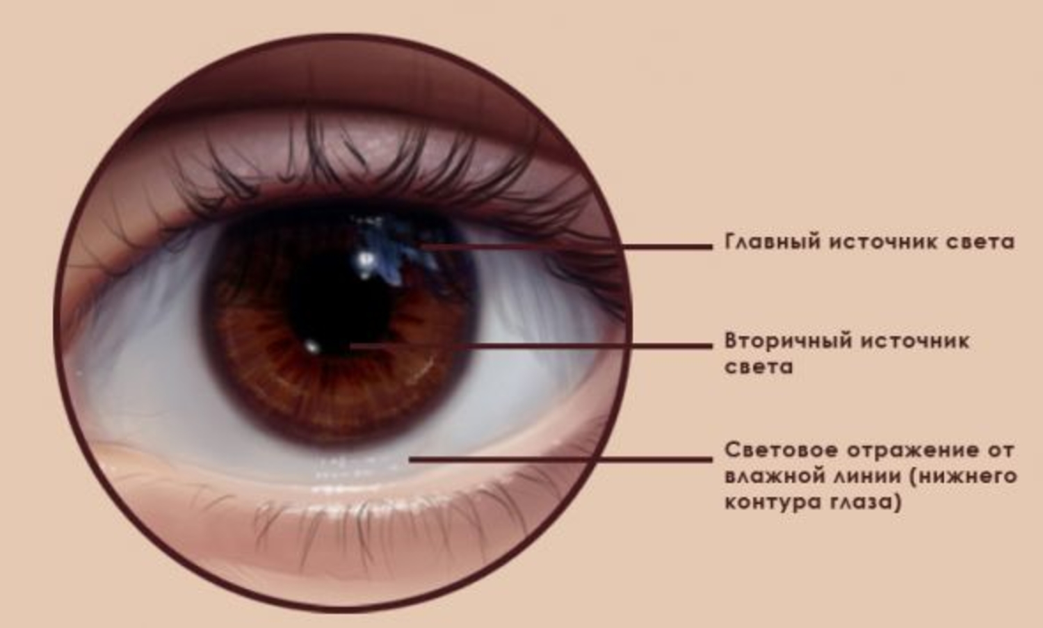 Где блик. Блики на глазах как рисовать. Рисование бликов на глазах. Как нарисовать блики в глазах. Блик на глазах нарисовать.