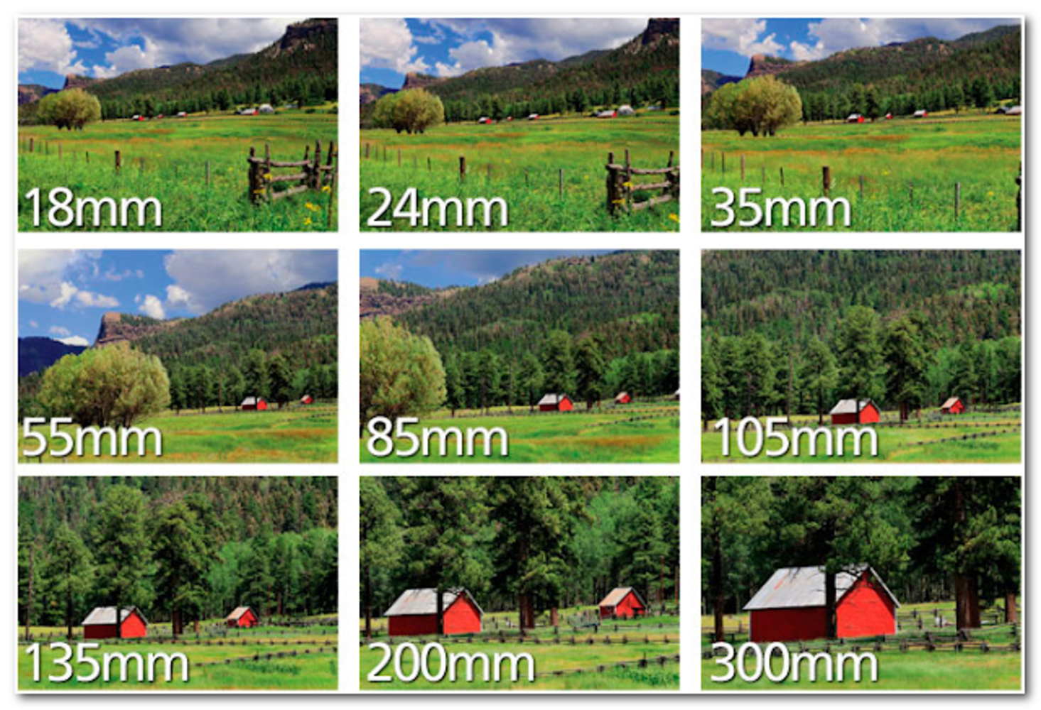 Разное Фокусное расстояние примеры. Фотографии с разным фокусным расстоянием. Примеры фотографий с разным фокусным расстоянием. Фокусное расстояние объектива примеры. Разница фокусного расстояния
