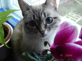 Киска Луша!