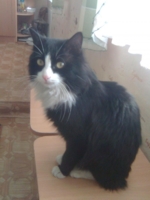 котя-мотя!!!