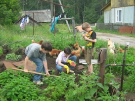 курам на смех