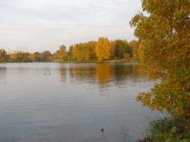 Осень в Строгино.