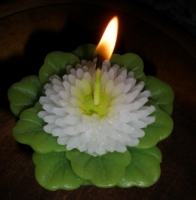 цветок-свеча