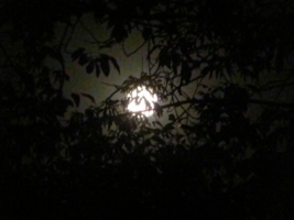 луна в ночи