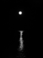 ночное море