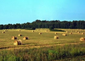 после жатвы