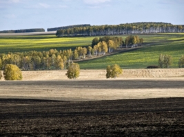 Осенняя палитра