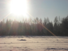 Зимнее поле. Мороз и солнце.