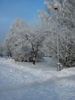 бульвар в снегу