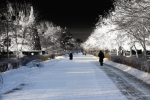 городской сквер