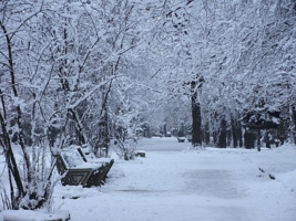 В старом парке.