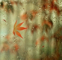 Дождливая осень за окном