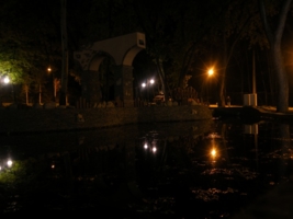 Магия ночного парка