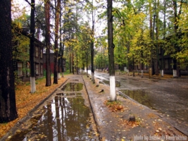 Осень на улицах Любеца