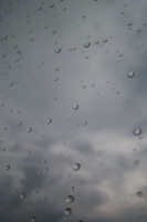 слезы дождя - следы дождя