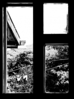черно-белое окно