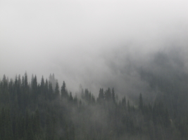туман окутал горы