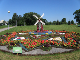 Голландия из цветов
