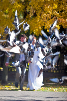 Свадьба,голуби,осень...
