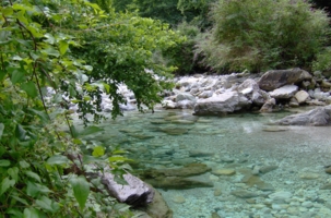 Вниз по камушкам вода бежит