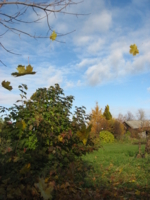 сезонное расстование