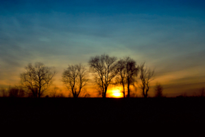 Последние теплые лучи