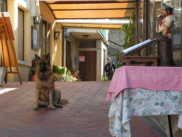 Он обязательно вернется