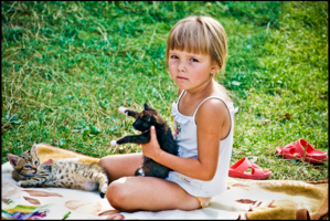 портрет с котятами и тапочками