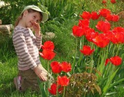 Девочка и тюльпаны