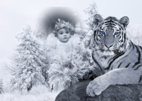 дочечкка зимой в год тигра!