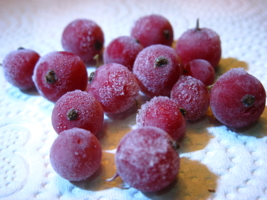 замёрзшие ягодки...
