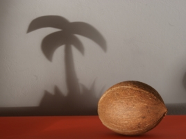 кокосовая пальма)