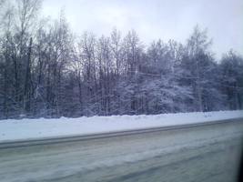 Зимняя дорога вдоль леса