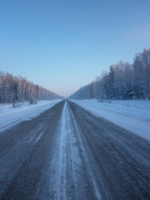дорога в зимнем лесу