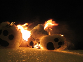 горение медведя на снегу