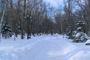 зимний парк