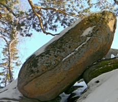 Каменный оладушек.