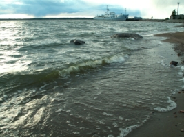 берег финского залива
