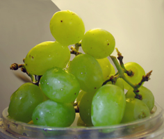 фрагмент виноградной грозди