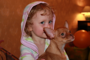 Маленькая дама с собачкой