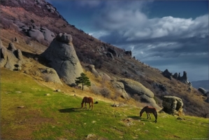 На склонах Демерджи