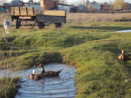 Весной.