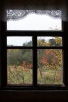 окно в осень