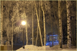 В зимнем парке ночью