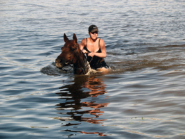 купание гнедого коня