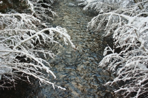 Первый снег на речке