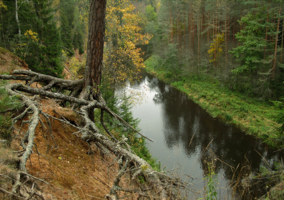 Осенняя Салаца