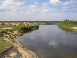 Полдень.